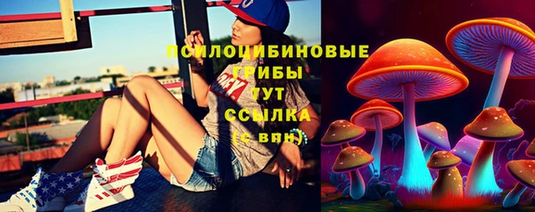 скорость Семилуки