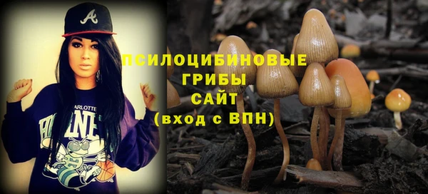 твердый Армянск