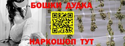 2c-b Кингисепп