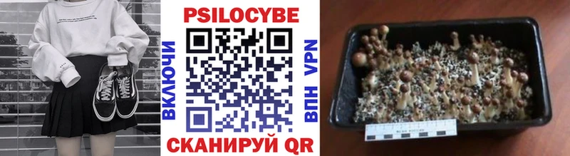 Галлюциногенные грибы мухоморы  Нарткала 