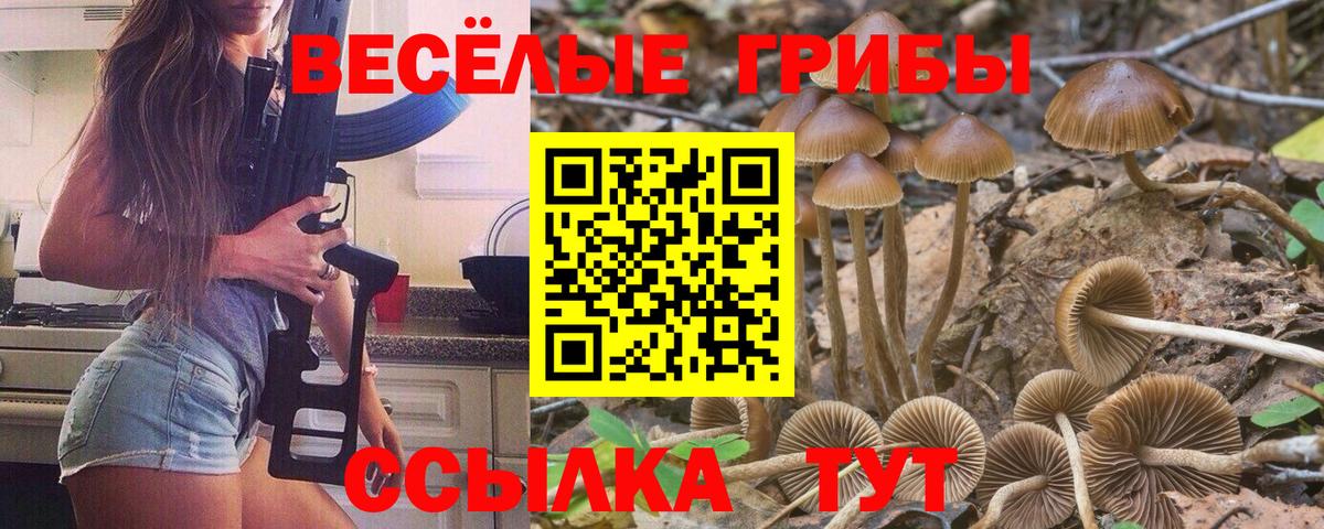 Псилоцибиновые грибы ЛСД Нарткала