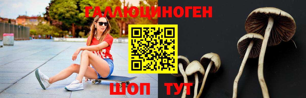 Галлюциногенные грибы мухоморы  Вход с VPN  Псилоцибиновые грибы прущие грибы  Нарткала 